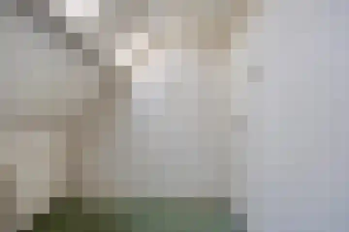 Ontginningsweg 13 Haghorst thumbnail 24