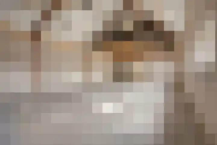 Ontginningsweg 13 Haghorst thumbnail 36