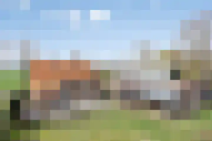 Ontginningsweg 13 Haghorst thumbnail 43