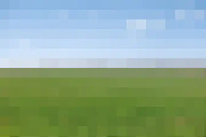 Ontginningsweg 13 Haghorst thumbnail 45