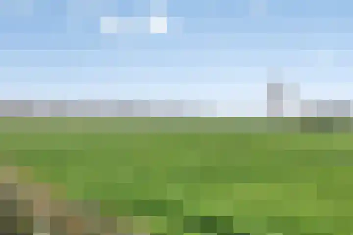 Ontginningsweg 13 Haghorst thumbnail 46