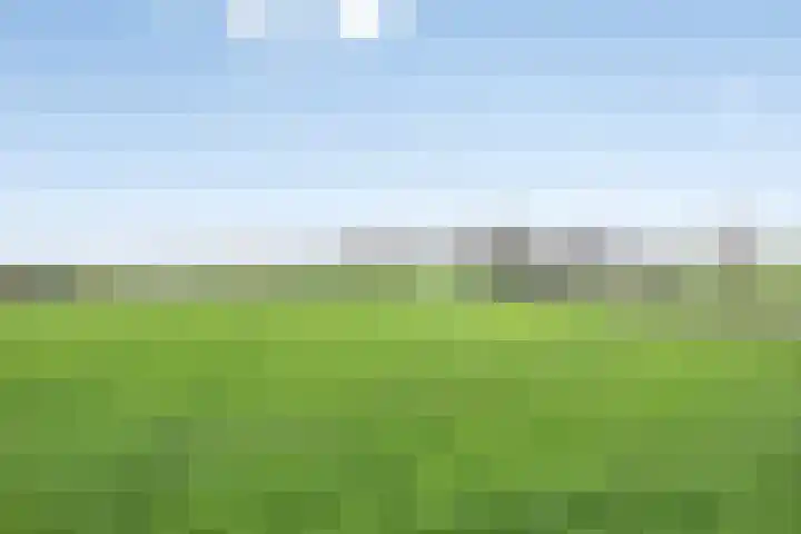 Ontginningsweg 13 Haghorst thumbnail 47