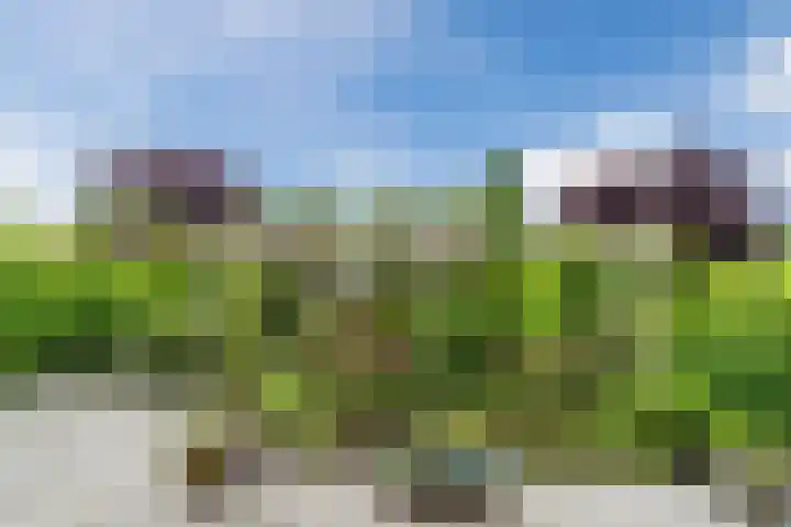 Onyx 8 Eindhoven thumbnail 41