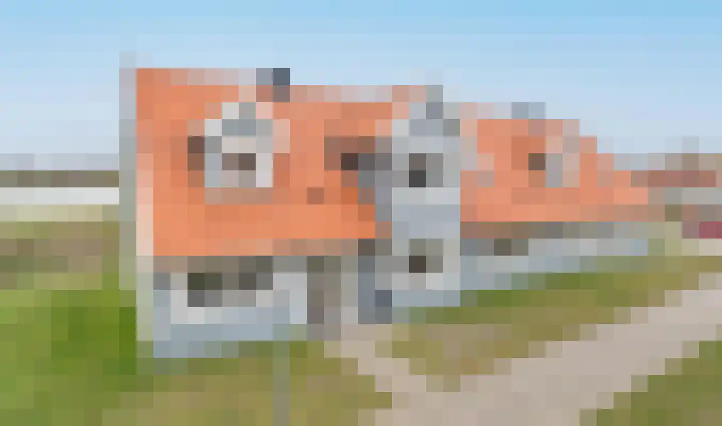 Ooghduyne 20 335 in Julianadorp