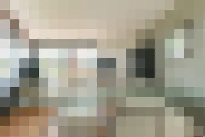 Oogsplits 12 Almere thumbnail 16