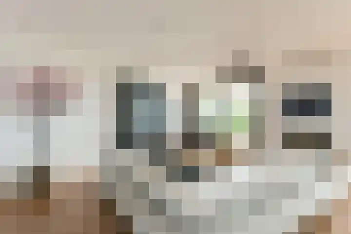Oogsplits 12 Almere thumbnail 18