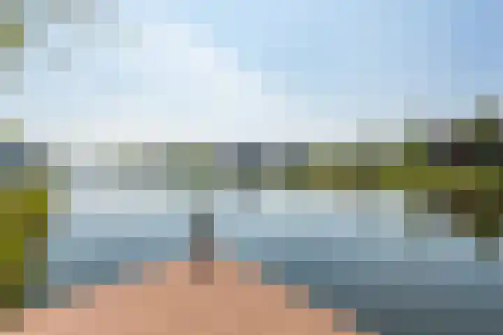 Oogsplits 12 Almere foto 2