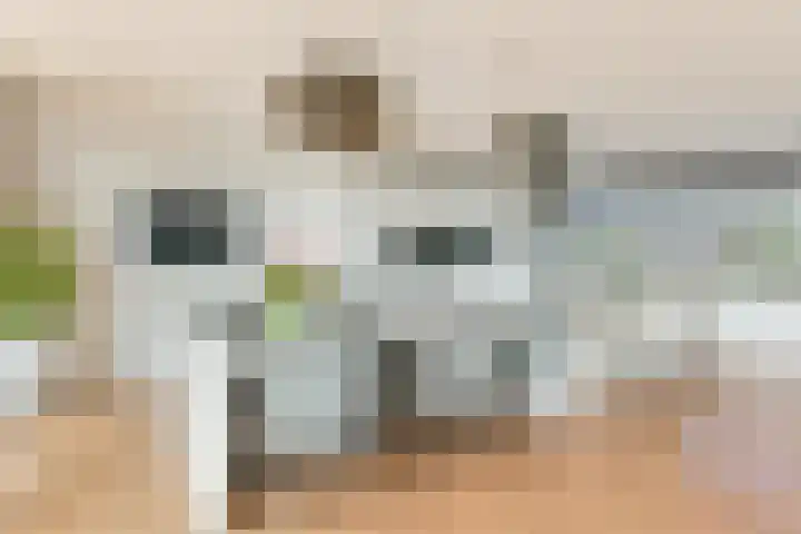 Oogsplits 12 Almere thumbnail 26