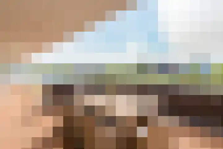 Oogsplits 12 Almere thumbnail 31