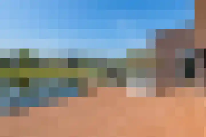 Oogsplits 12 Almere thumbnail 39