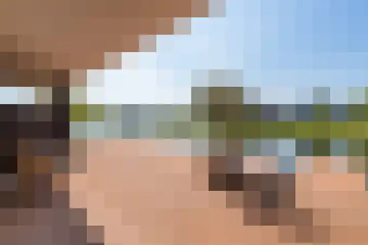 Oogsplits 12 Almere thumbnail 43