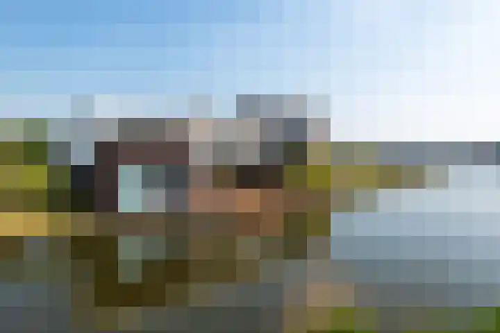 Oogsplits 12 Almere thumbnail 48