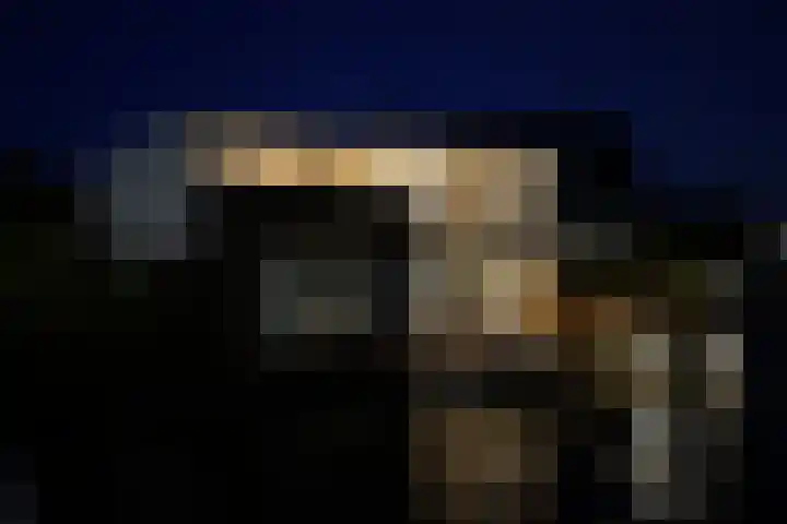 Oogsplits 12 Almere thumbnail 49