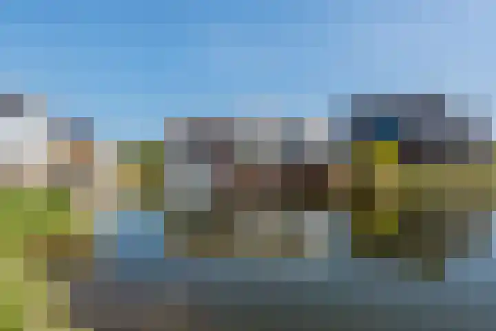 Oogsplits 12 Almere thumbnail 50