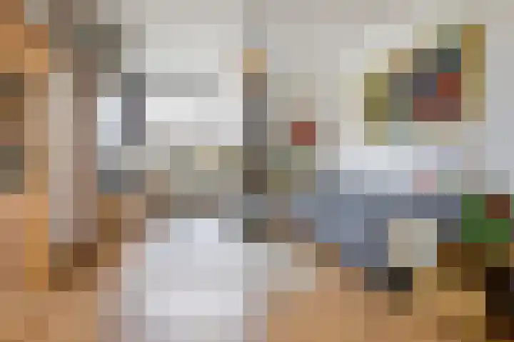 Oogststraat 7 H Amsterdam thumbnail 5