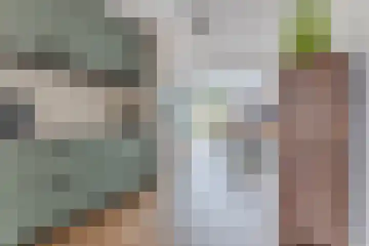Oogstvelden 21 Best thumbnail 14