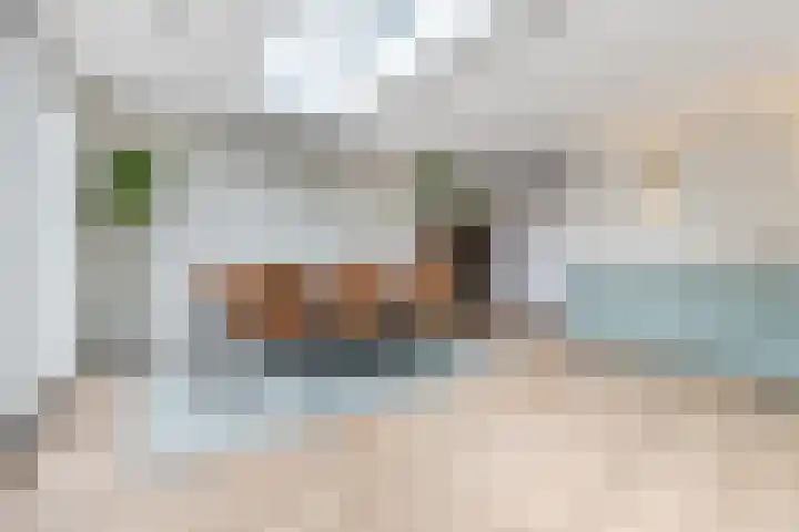 Oogstvelden 21 Best thumbnail 19
