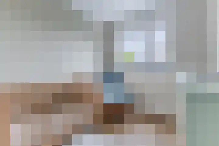 Oogstvelden 21 Best thumbnail 25