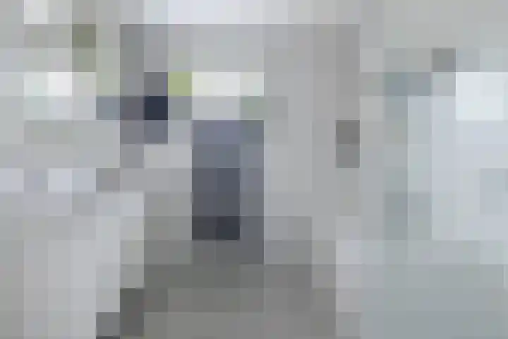 Oogstvelden 21 Best thumbnail 27