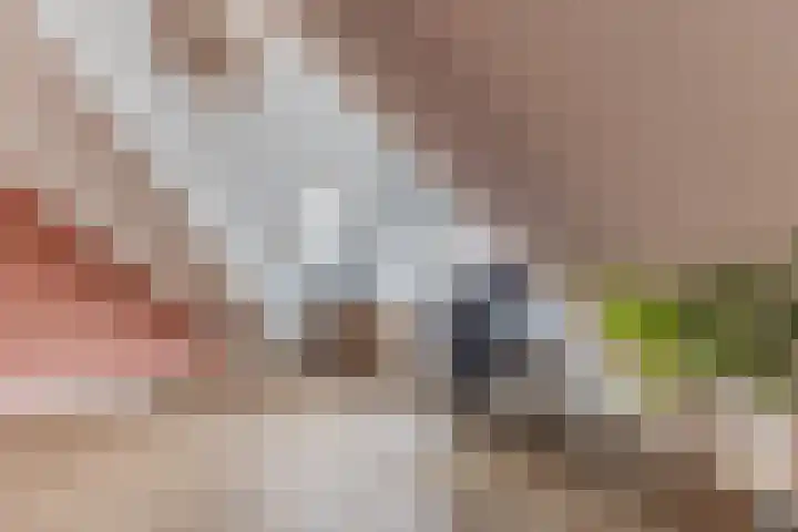 Oogstvelden 21 Best thumbnail 31