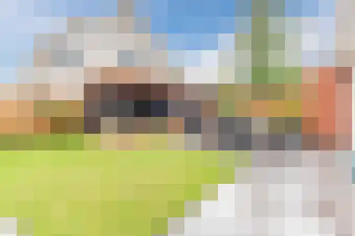 Oogstvelden 21 Best thumbnail 35