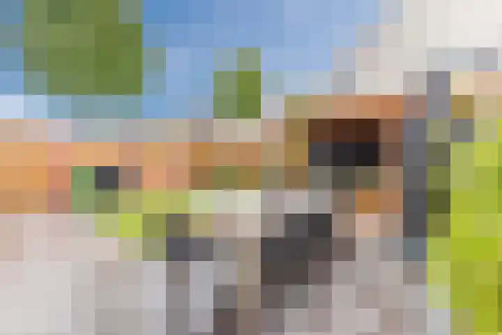 Oogstvelden 21 Best thumbnail 36