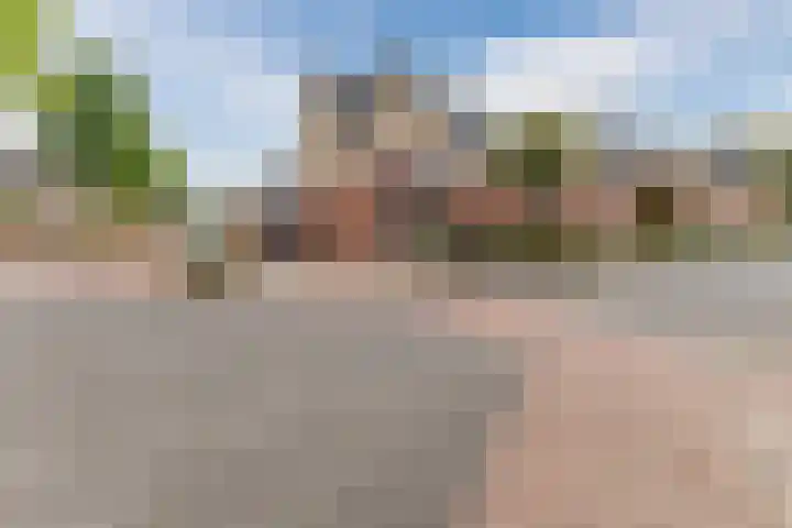 Oogstvelden 21 Best thumbnail 6