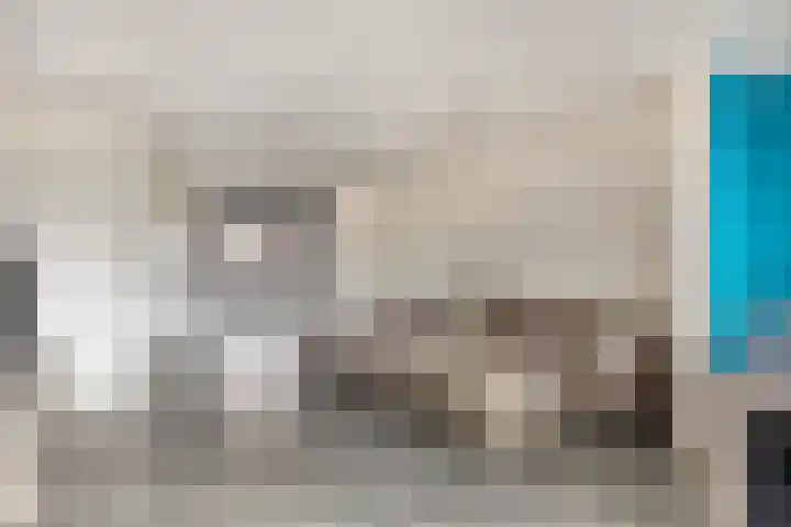 Ooievaarshorst 6 Grave thumbnail 10