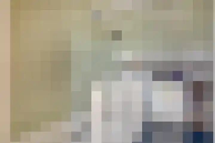 Ooievaarshorst 6 Grave thumbnail 22