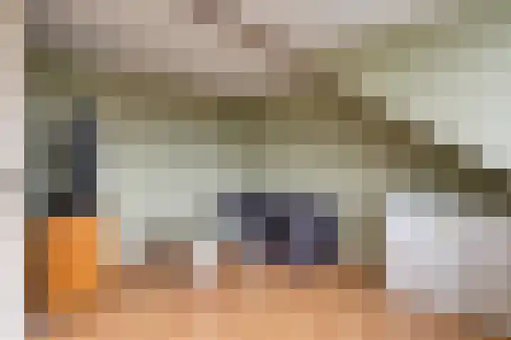 Ooievaarshorst 6 Grave thumbnail 24