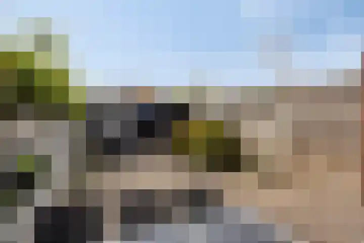Ooievaarshorst 6 Grave thumbnail 27