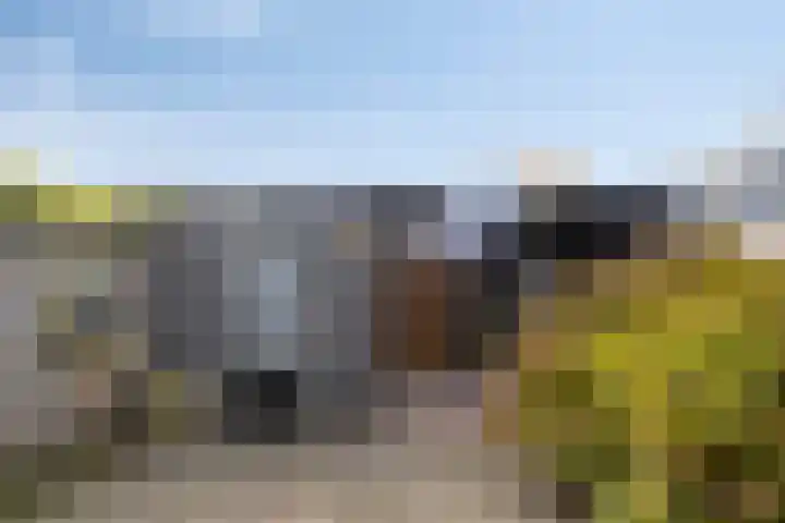 Ooievaarshorst 6 Grave thumbnail 28