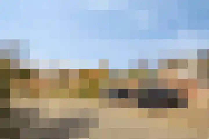 Ooievaarshorst 6 Grave thumbnail 31