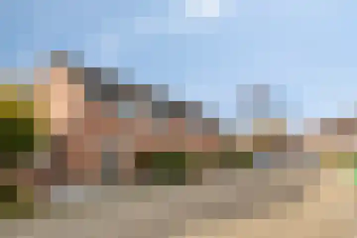 Ooievaarshorst 6 Grave thumbnail 32