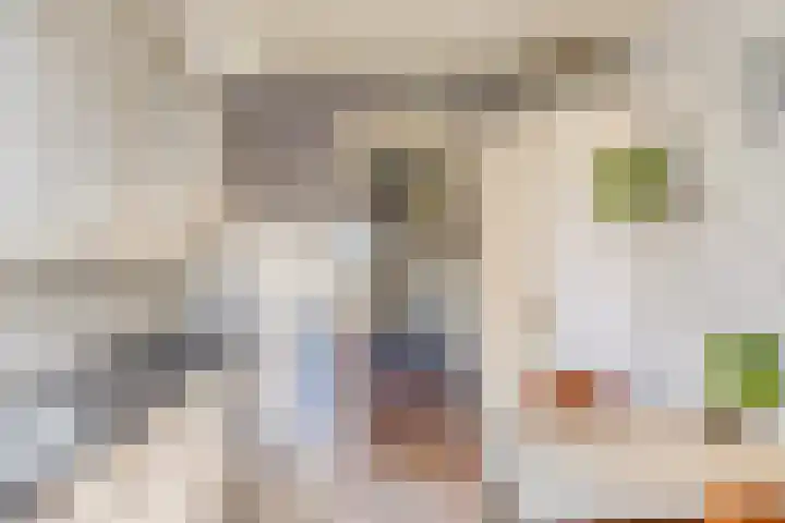 Ooievaarstraat 4 Kampen thumbnail 13