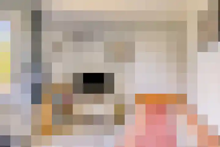 Ooievaarstraat 4 Kampen thumbnail 22