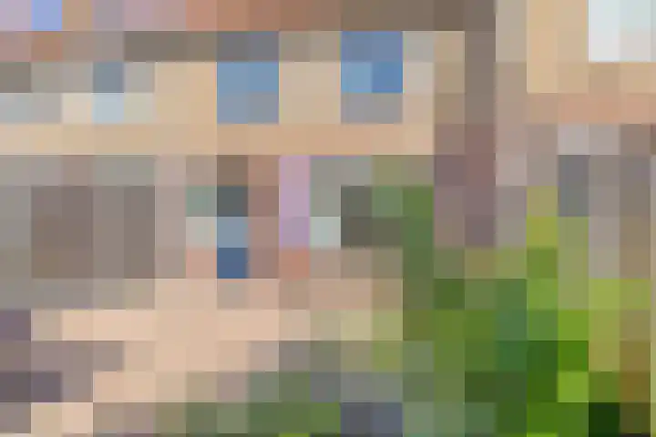 Ooievaarstraat 4 Kampen thumbnail 30