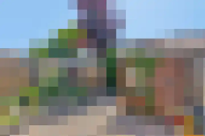 Ooievaarstraat 4 Kampen thumbnail 4
