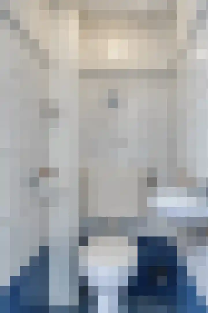 Ooievaarstraat 4 Kampen thumbnail 6
