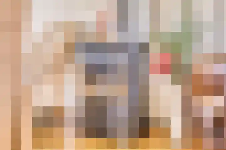 Ooievaarstraat 4 Kampen thumbnail 9