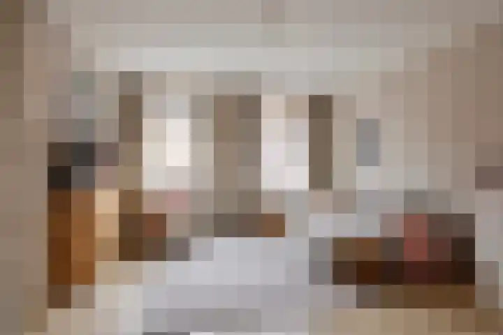 Ooipoort 8 Doesburg thumbnail 12