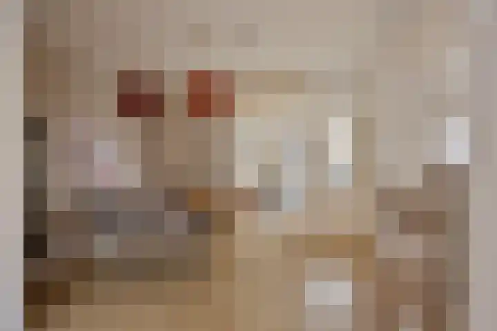Ooipoort 8 Doesburg thumbnail 15
