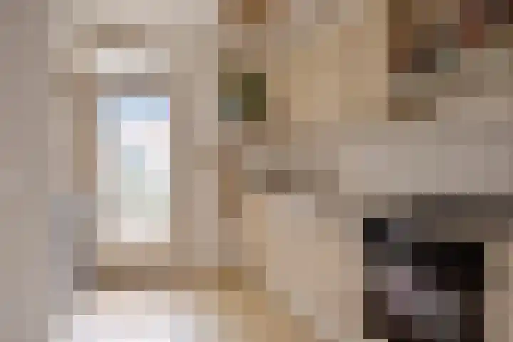 Ooipoort 8 Doesburg thumbnail 19