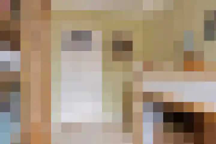 Ooipoort 8 Doesburg thumbnail 24
