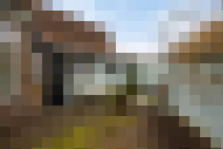 Ooipoort 8 Doesburg thumbnail 31