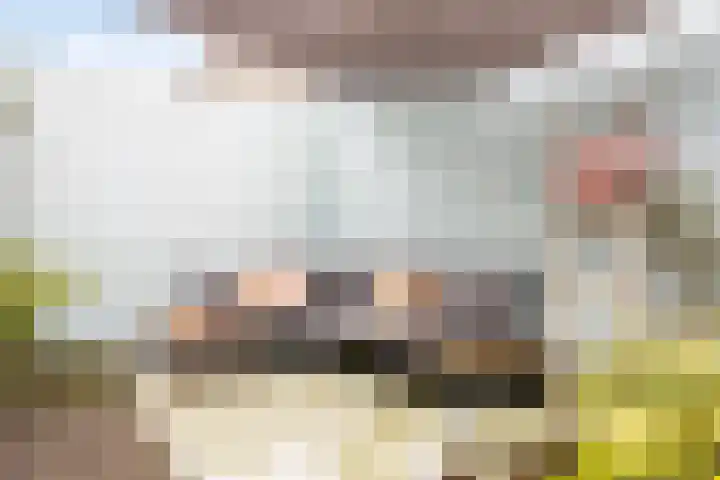 Ooipoort 8 Doesburg thumbnail 33
