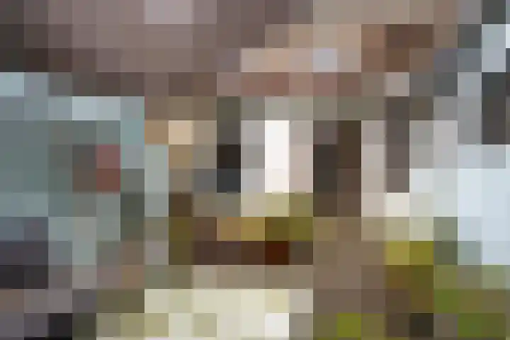 Ooipoort 8 Doesburg thumbnail 35