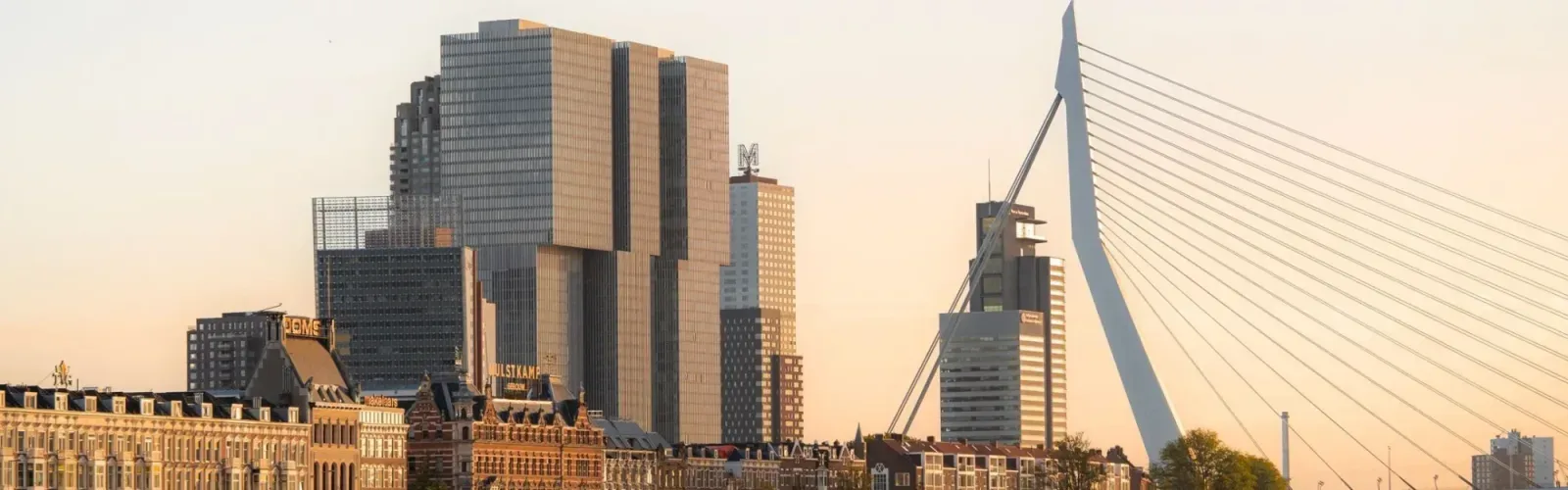 Photo d'équipe de Ooms Makelaars Rotterdam