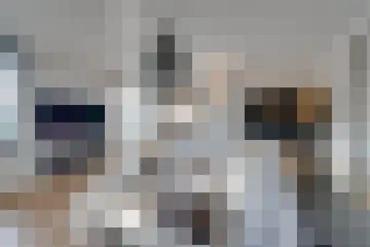 Oorgat 3 a Edam thumbnail 18