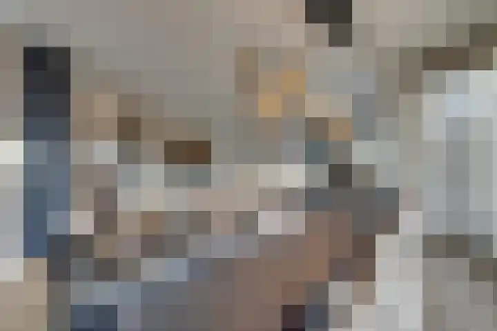 Oorgat 3 a Edam thumbnail 23